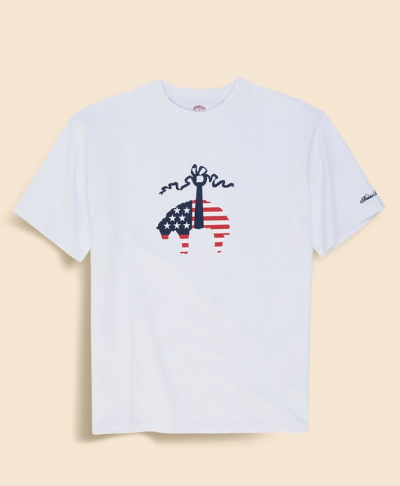【アメリカ建国250th記念】 USAコットンジャージー　ヘビーウェイト　星条旗GFプリント　Tシャツ