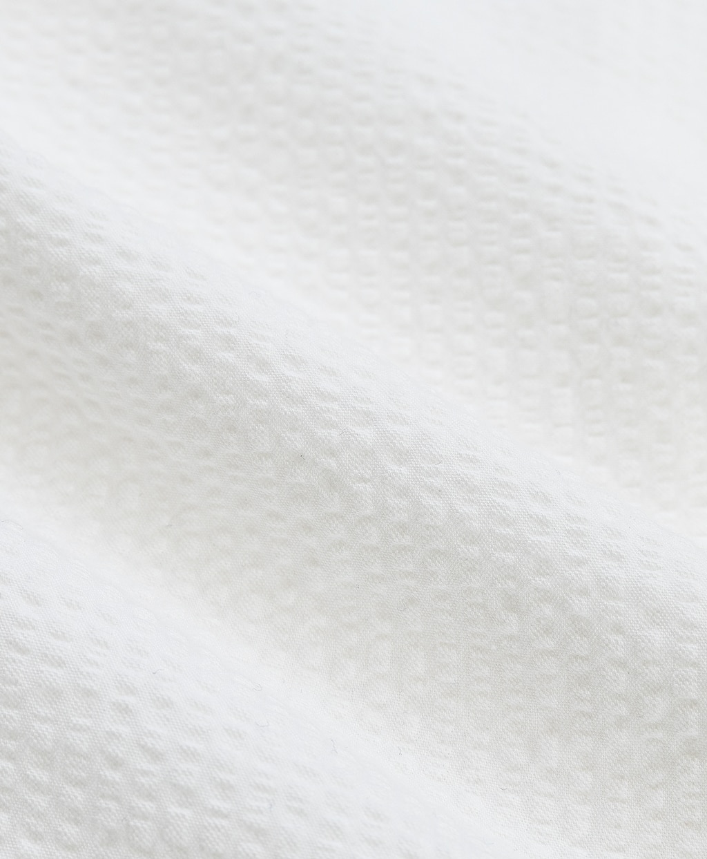 ◆オンラインストア限定◆ コットン　ビッグGFロゴ　シアサッカー　ショートスリーブ　スポーツシャツ　Traditional Fit3