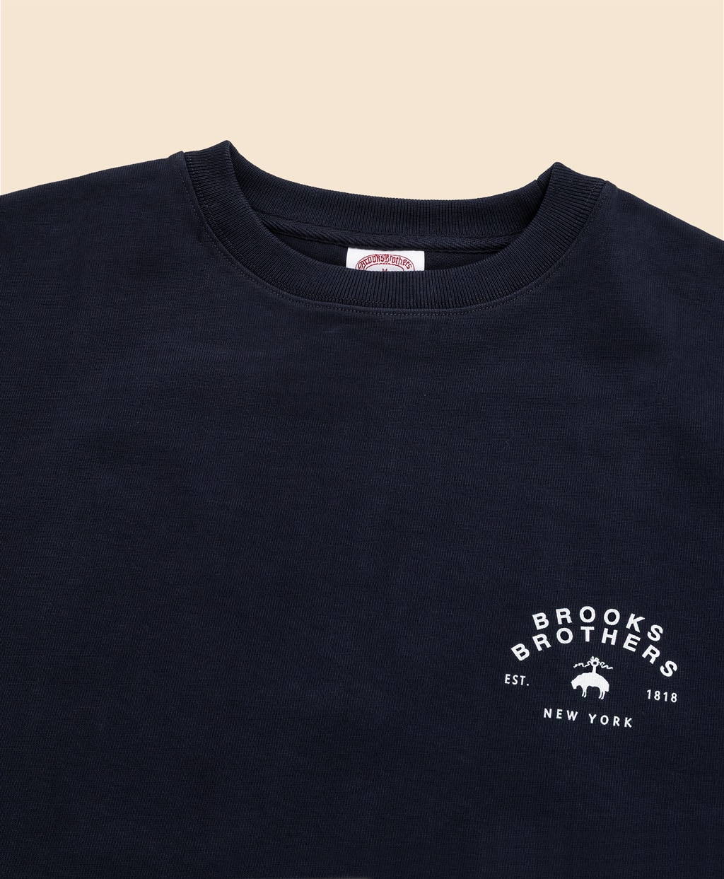 USAコットンジャージー　ヘビーウェイト　グラフィックロゴ　Tシャツ3