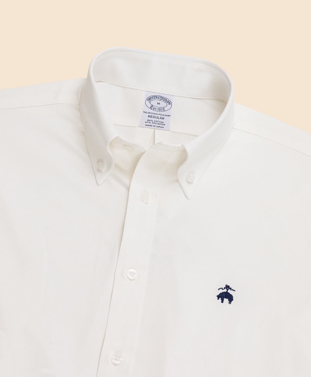スーピマコットン／ポリエステル　46ゲージニット　オックスフォード　スポーツシャツ　Regular Fit3