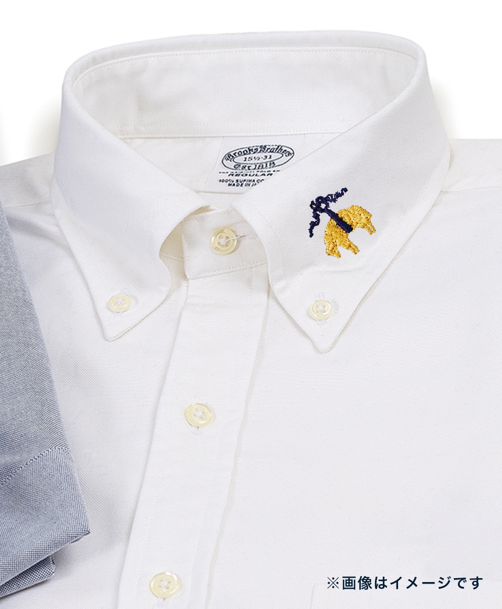 【刺しゅう対象ドレス&シャンブレーシャツ】スーピマコットン　オックスフォード　ドレスシャツ　Regular Fit7