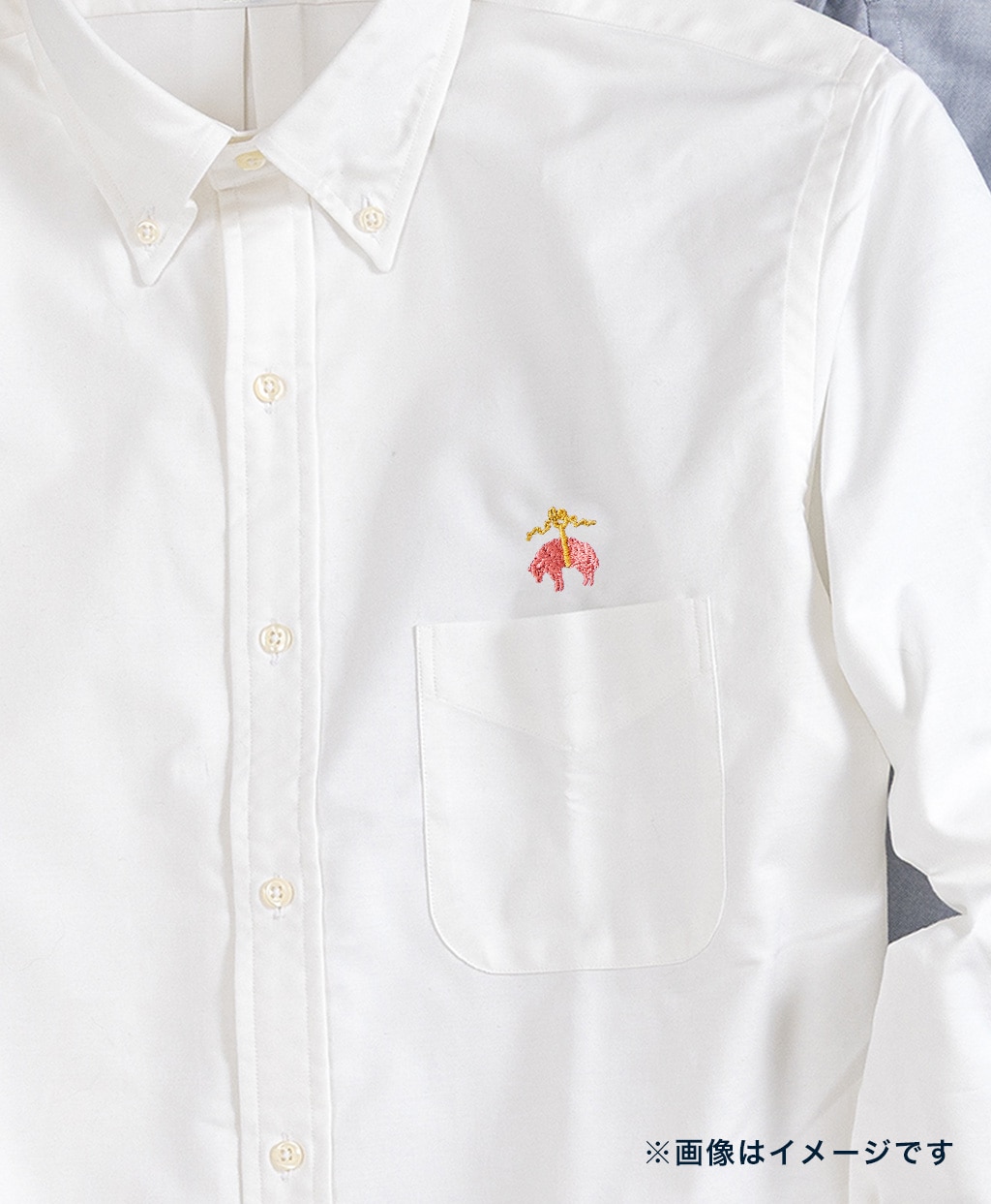 【刺しゅう対象ドレス&シャンブレーシャツ】スーピマコットン　オックスフォード　ドレスシャツ　Regular Fit9
