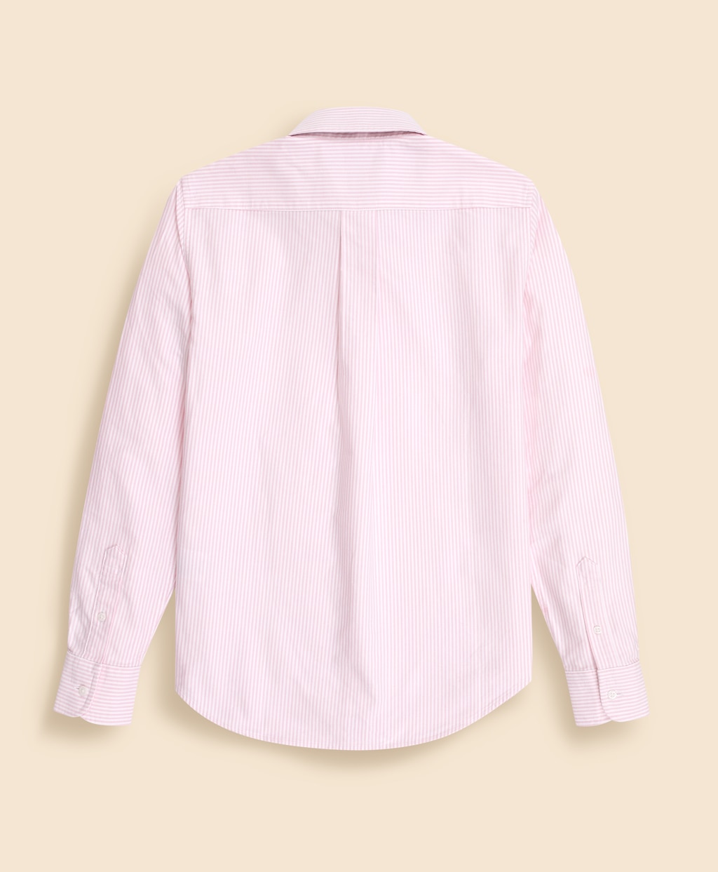 【刺しゅう対象GFロゴ入りウィメンズシャツ】オックスフォード　キャンディストライプ　GFロゴ　ボタンダウンシャツ　Classic Fit3